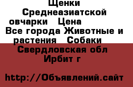 Щенки Среднеазиатской овчарки › Цена ­ 30 000 - Все города Животные и растения » Собаки   . Свердловская обл.,Ирбит г.